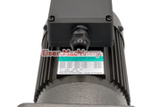 Sesame GE11V200U-75 Precision Gear Motor, 200 watt, 22 rpm, 75:1 ratio